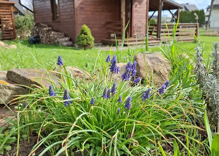 Orawski Dom wakacyjny